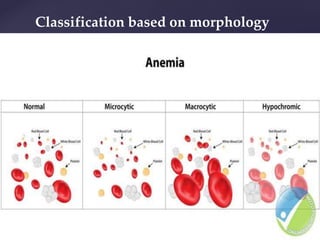 Classification based on morphology
 