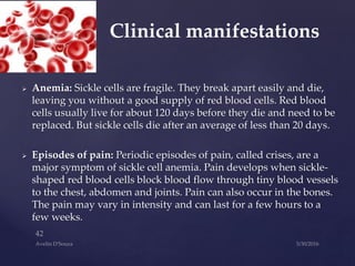 Anemia: Sickle cells are fragile. They break apart easily and die,
leaving you without a good supply of red blood cells. Red blood
cells usually live for about 120 days before they die and need to be
replaced. But sickle cells die after an average of less than 20 days.
 Episodes of pain: Periodic episodes of pain, called crises, are a
major symptom of sickle cell anemia. Pain develops when sickle-
shaped red blood cells block blood flow through tiny blood vessels
to the chest, abdomen and joints. Pain can also occur in the bones.
The pain may vary in intensity and can last for a few hours to a
few weeks.
Clinical manifestations
 