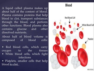 A liquid called plasma makes up
about half of the content of blood.
Plasma contains proteins that help
blood to clot, transport substances
through the blood, and perform
other functions. Blood plasma also
contains glucose and other
dissolved nutrients.
About half of blood volume is
composed of blood cells:
• Red blood cells, which carry
oxygen to the tissues
• White blood cells, which fight
infections
• Platelets, smaller cells that help
blood to clot
 