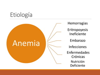 Etiología
Anemia
Hemorragias
Eritropoyesis
Ineficiente
Embarazo
Infecciones
Enfermedades
Crónicas
Nutrición
Deficiente
 