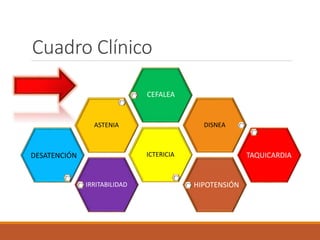 Cuadro Clínico
IRRITABILIDAD
ICTERICIA
ASTENIA DISNEA
CEFALEA
DESATENCIÓN TAQUICARDIA
HIPOTENSIÓN
 