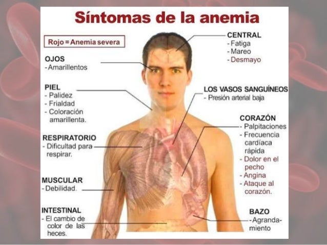 Sintomas de que el cuerpo esta en cetosis