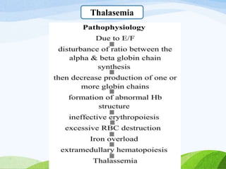 Thalasemia
 