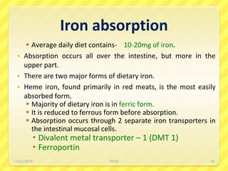 Iron absorption
 Average daily diet contains- 10-20mg of iron.
 Absorption occurs all over the intestine, but more in the
upper part.
 There are two major forms of dietary iron.
 Heme iron, found primarily in red meats, is the most easily
absorbed form.
 Majority of dietary iron is in ferric form.
 It is reduced to ferrous form before absorption.
 Absorption occurs through 2 separate iron transporters in
the intestinal mucosal cells.
 Divalent metal transporter – 1 (DMT 1)
 Ferroportin
11/21/2019 PATKI 14
 