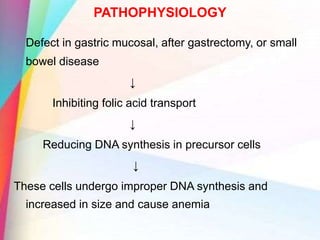 PATHOPHYSIOLOGY
Defect in gastric mucosal, after gastrectomy, or small
bowel disease
↓
Inhibiting folic acid transport
↓
Reducing DNA synthesis in precursor cells
↓
These cells undergo improper DNA synthesis and
increased in size and cause anemia
 