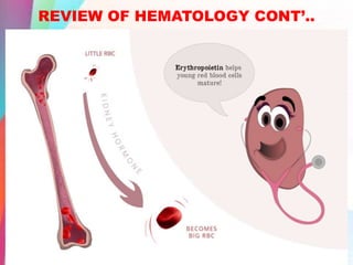 REVIEW OF HEMATOLOGY CONT’..
 