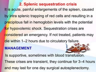 2. Splenic sequestration crisis
It is acute, painful enlargements of the spleen, caused
by intra splenic trapping of red cells and resulting in a
precipitous fall in hemoglobin levels with the potential
for hypovolemic shock. Sequestration crises are
considered an emergency. If not treated, patients may
die within 1–2 hours due to circulatory failure.
MANAGEMENT
Is supportive, sometimes with blood transfusion.
These crises are transient, they continue for 3–4 hours
and may last for one day surgical autosplenectomy.
 
