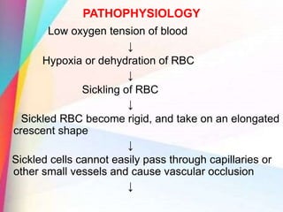 PATHOPHYSIOLOGY
Low oxygen tension of blood
↓
Hypoxia or dehydration of RBC
↓
Sickling of RBC
↓
Sickled RBC become rigid, and take on an elongated
crescent shape
↓
Sickled cells cannot easily pass through capillaries or
other small vessels and cause vascular occlusion
↓
 