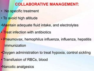 COLLABORATIVE MANAGEMENT:
• No specific treatment
• To avoid high altitude
•Maintain adequate fluid intake, and electrolytes
• Treat infection with antibiotics
• Pneumovax, hemophilus influenza, influenza, hepatitis
immunization
•Oxygen administration to treat hypoxia, control sickling
• Transfusion of RBCs, blood
•Narcotic analgesics
 