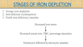 STAGES OF IRON DEPLETION