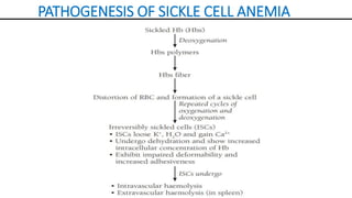 PATHOGENESIS OF SICKLE CELL ANEMIA