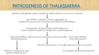 PATHOGENESIS OF THALASSAEMIA