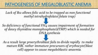 PATHOGENESIS OF MEGALOBLASTIC ANEMIA