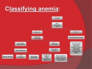 Anemia - basic