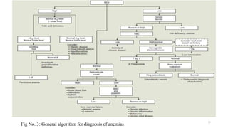15
Fig No. 3: General algorithm for diagnosis of anemias
 