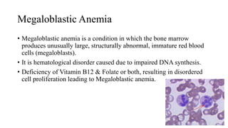 Megaloblastic Anemia
• Megaloblastic anemia is a condition in which the bone marrow
produces unusually large, structurally abnormal, immature red blood
cells (megaloblasts).
• It is hematological disorder caused due to impaired DNA synthesis.
• Deficiency of Vitamin B12 & Folate or both, resulting in disordered
cell proliferation leading to Megaloblastic anemia.
31
 