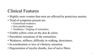 Clinical Features
• Slightly more women than men are affected by pernicious anemia.
• Triad of symptoms present are:
• Generalized weakness.
• Sore painful tongue.
• Numbness / Tingling of extremities
• Exhibit yellow color on the skin & sclera.
• Paresthetic sensations of the extremities.
• Weakness, stiffness, difficulty in walking, drowsiness,
• In-coordination or loss of vibratory sensation.
• Degeneration of myelin sheaths, loss of nerve fibers.
41
 