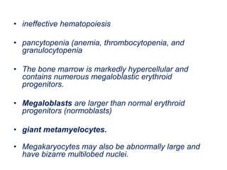 • ineffective hematopoiesis
• pancytopenia (anemia, thrombocytopenia, and
granulocytopenia
• The bone marrow is markedly hypercellular and
contains numerous megaloblastic erythroid
progenitors.
• Megaloblasts are larger than normal erythroid
progenitors (normoblasts)
• giant metamyelocytes.
• Megakaryocytes may also be abnormally large and
have bizarre multilobed nuclei.
 