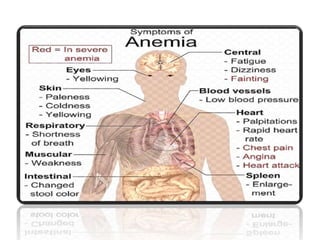 ANEMIA its types.pptx