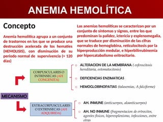 ANEMIA HEMOLÍTICA
Concepto
Anemia hemolítica agrupa a un conjunto
de trastornos en los que se produce una
destrucción acelerada de los hematíes
(HEMOLISIS), con disminución de su
periodo normal de supervivencia (< 120
días)
Las anemias hemolíticas se caracterizan por un
conjunto de síntomas y signos, entre los que
predominan la palidez, ictericia y esplenomegalia,
que se traduce por disminución de las cifras
normales de hemoglobina, reticulocitosis por la
hiperproducción medular, e hiperbilirrubinemia
por hipercatabolismo eritrocitario.
 
