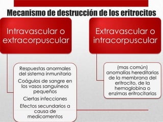 anemia SÑSALLSAPDLSADLASDLSDLASDLASDLASDLS