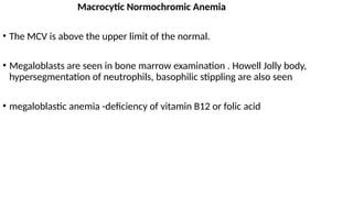 Macrocytic Normochromic Anemia
• The MCV is above the upper limit of the normal.
• Megaloblasts are seen in bone marrow examination . Howell Jolly body,
hypersegmentation of neutrophils, basophilic stippling are also seen
• megaloblastic anemia -deficiency of vitamin B12 or folic acid
 