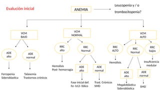 Anemia.pptx completo con calsificacion y conceptos | PPTX