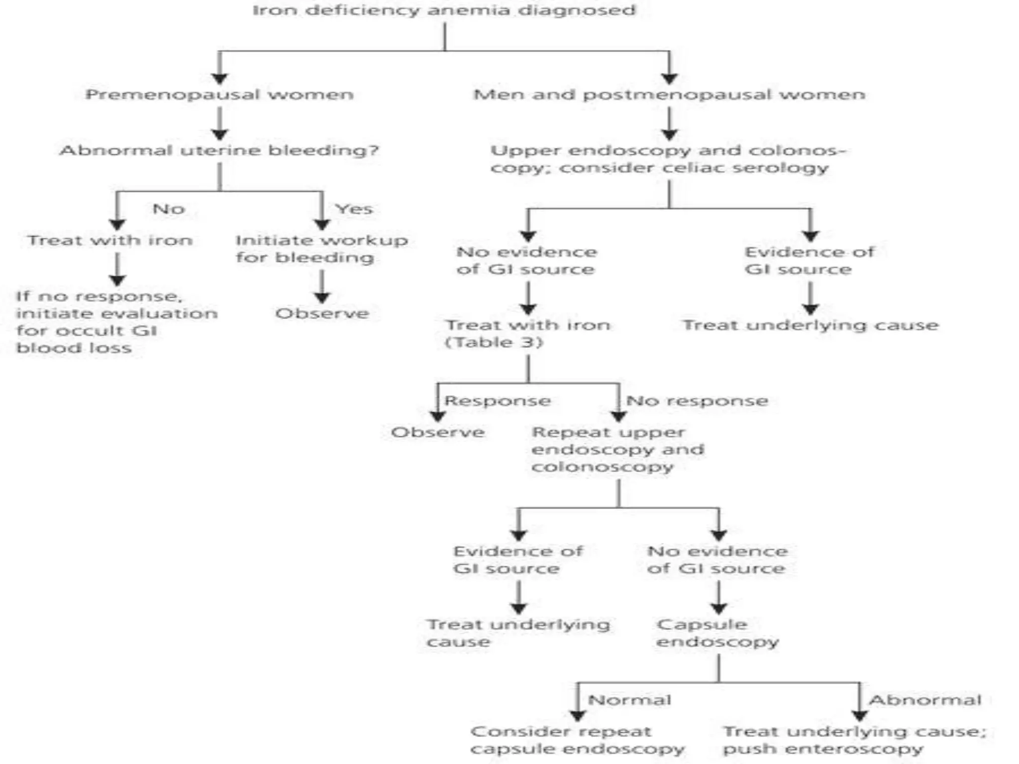 © Dr. Haseeb Ahmed Bhatti
 