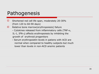 39
Pathogenesis
 Shortened red cell life span, moderately 20-30%
(from 120 to 60-90 days)
 Relative bone marrow(erythropoiesis) failure
- Cytokines released from inflammatory cells (TNF-α,
IL-1, IFN-γ) affects erythropoiesis by inhibiting the
growth of erythroid progenitors
- Serum erythropoietin levels in patiens with ACD are
normal when compared to healthy subjects but much
lower than levels in non-ACD anemic patients
 