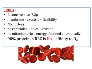 RBCs -
• Biconcave disc 7.2µ
• membrane – spectrin – flexibility
• No nucleus
• no centrioles – no cell division
• no mitochondria – energy obtained anerobically
90% protein in RBC is Hb – affinity to O₂
 