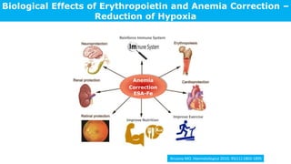 Biological Effects of Erythropoietin and Anemia Correction –
Reduction of Hypoxia
Arcasoy MO. Haematologica 2010; 95(11):1803-1895
Anemia
Correction
ESA-Fe
Improve Nutrition
Improve Exercise
Reinforce Immune System
 