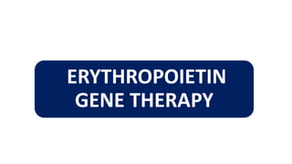 ERYTHROPOIETIN
GENE THERAPY
 