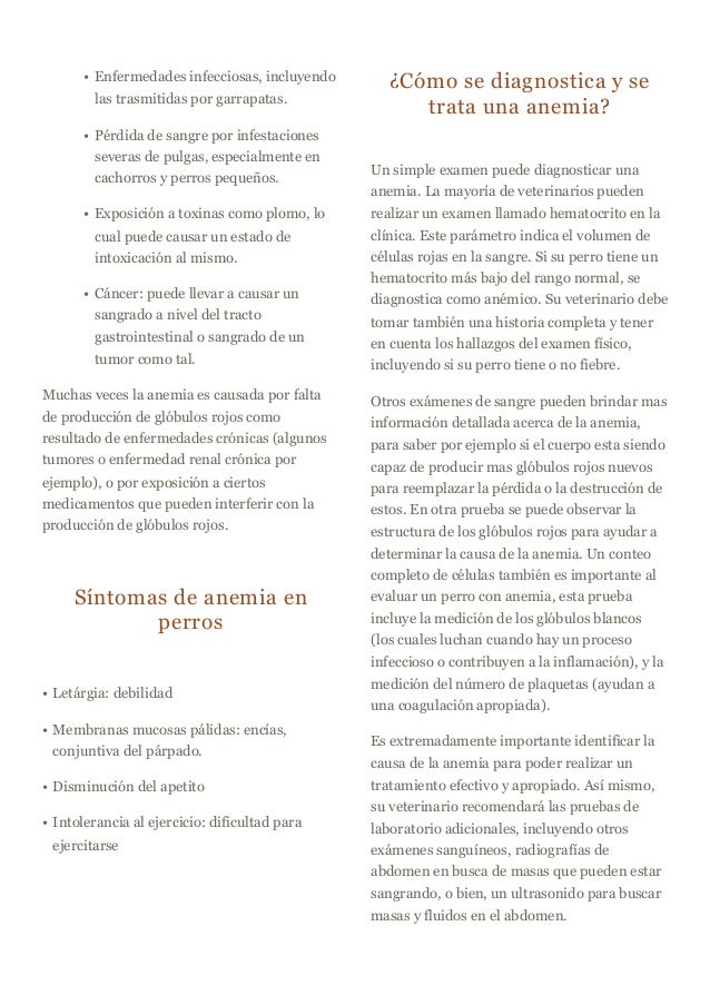 Anemia en-perros