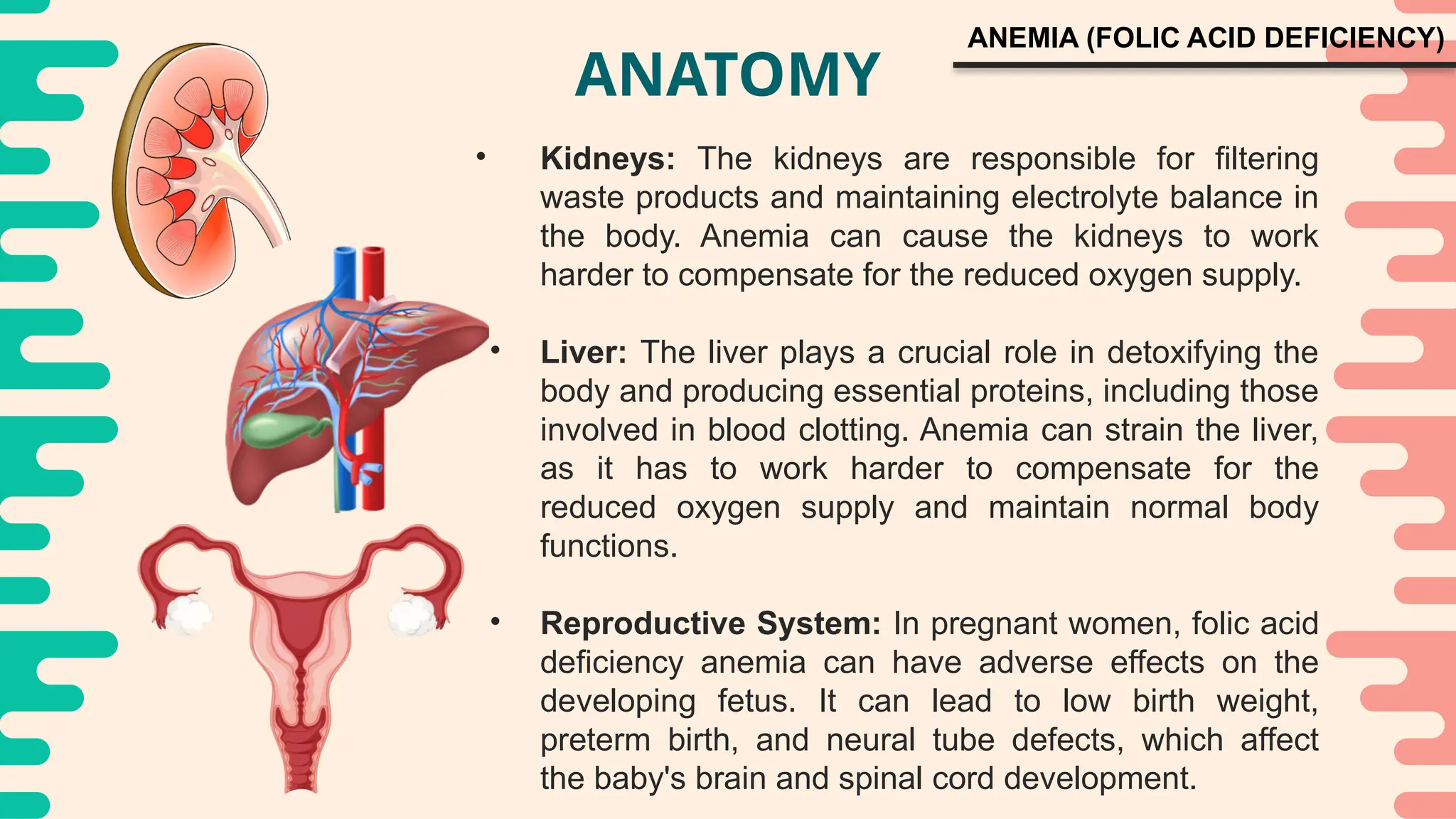 Folate Deficiency Anemia Rbc _ANEMIA-FOLIC-ACID-DEFICIENCY lack of rbc.pptx