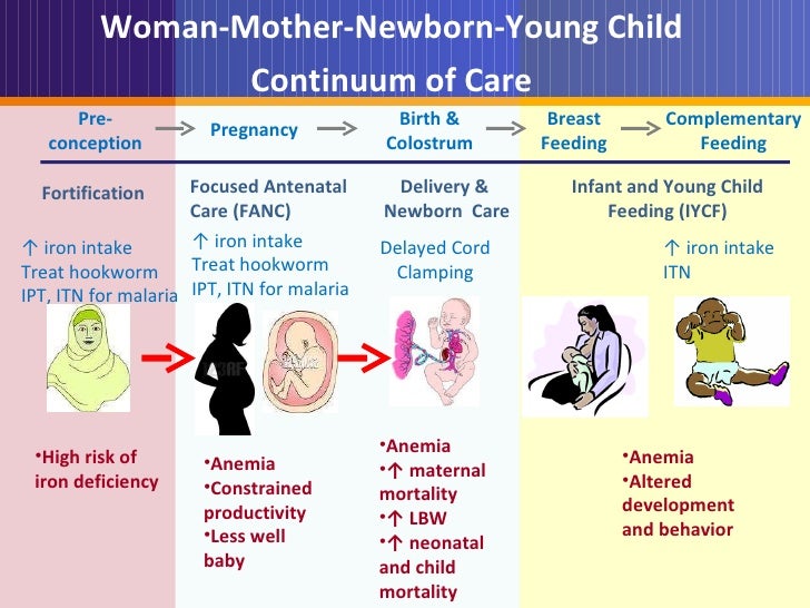 Maternal and Child Anemia Why, what works, what needs more work?