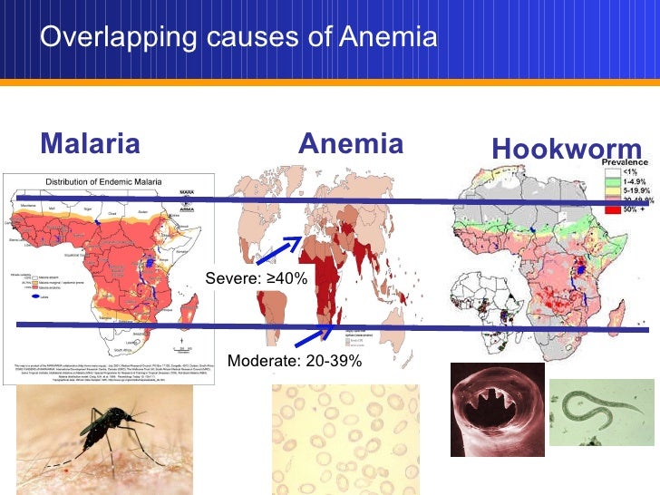 Maternal and Child Anemia Why, what works, what needs more work?