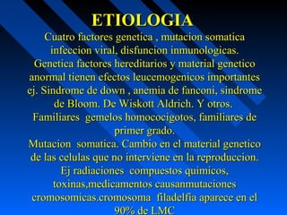 ETIOLOGIAETIOLOGIA
Cuatro factores genetica , mutacion somaticaCuatro factores genetica , mutacion somatica
infeccion viral, disfuncion inmunologicas.infeccion viral, disfuncion inmunologicas.
Genetica factores hereditarios y material geneticoGenetica factores hereditarios y material genetico
anormal tienen efectos leucemogenicos importantesanormal tienen efectos leucemogenicos importantes
ej. Sindrome de down , anemia de fanconi, sindromeej. Sindrome de down , anemia de fanconi, sindrome
de Bloom. De Wiskott Aldrich. Y otros.de Bloom. De Wiskott Aldrich. Y otros.
Familiares gemelos homococigotos, familiares deFamiliares gemelos homococigotos, familiares de
primer grado.primer grado.
Mutacion somatica. Cambio en el material geneticoMutacion somatica. Cambio en el material genetico
de las celulas que no interviene en la reproduccion.de las celulas que no interviene en la reproduccion.
Ej radiaciones compuestos quimicos,Ej radiaciones compuestos quimicos,
toxinas,medicamentos causanmutacionestoxinas,medicamentos causanmutaciones
cromosomicas.cromosoma filadelfia aparece en elcromosomicas.cromosoma filadelfia aparece en el
90% de LMC90% de LMC
 