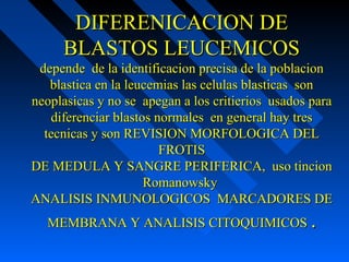 DIFERENICACION DEDIFERENICACION DE
BLASTOS LEUCEMICOSBLASTOS LEUCEMICOS
depende de la identificacion precisa de la poblaciondepende de la identificacion precisa de la poblacion
blastica en la leucemias las celulas blasticas sonblastica en la leucemias las celulas blasticas son
neoplasicas y no se apegan a los critierios usados paraneoplasicas y no se apegan a los critierios usados para
diferenciar blastos normales en general hay tresdiferenciar blastos normales en general hay tres
tecnicas y son REVISION MORFOLOGICA DELtecnicas y son REVISION MORFOLOGICA DEL
FROTISFROTIS
DE MEDULA Y SANGRE PERIFERICA, uso tincionDE MEDULA Y SANGRE PERIFERICA, uso tincion
RomanowskyRomanowsky
ANALISIS INMUNOLOGICOS MARCADORES DEANALISIS INMUNOLOGICOS MARCADORES DE
MEMBRANA Y ANALISIS CITOQUIMICOSMEMBRANA Y ANALISIS CITOQUIMICOS ..
 
