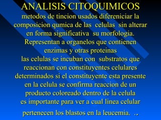 ANALISIS CITOQUIMICOSANALISIS CITOQUIMICOS
metodos de tincion usados difereniciar lametodos de tincion usados difereniciar la
composicion qumica de las celulas sin alterarcomposicion qumica de las celulas sin alterar
en forma significativa su morfologia.en forma significativa su morfologia.
Representan a organelos que contienenRepresentan a organelos que contienen
enzimas y otras proteinasenzimas y otras proteinas
las celulas se incuban con substratos quelas celulas se incuban con substratos que
reaccionan con constituyentes celularesreaccionan con constituyentes celulares
determinados si el constituyente esta presentedeterminados si el constituyente esta presente
en la celula se confirma reaccion de unen la celula se confirma reaccion de un
producto coloreado dentro de la celulaproducto coloreado dentro de la celula
es importante para ver a cual linea celulares importante para ver a cual linea celular
pertenecen los blastos en la leucemia. .pertenecen los blastos en la leucemia. ...
 