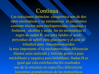 ContinuaContinua
Las reacciones detincion citoquimica son de dosLas reacciones detincion citoquimica son de dos
tipos enzimaticas y no enzimaticas el enzimaticotipos enzimaticas y no enzimaticas el enzimatico
contiene tincion para mieloperoxidas, estearasa ycontiene tincion para mieloperoxidas, estearasa y
fosfatasa alcalina y acida las no enzimaticas elfosfatasa alcalina y acida las no enzimaticas el
negro de sudan B usa para lipidos el acidonegro de sudan B usa para lipidos el acido
peryodico de schiff para glucogeno y el azul deperyodico de schiff para glucogeno y el azul de
toluidina para mucopolisacaridostoluidina para mucopolisacaridos
la mas importante el la mieloperoxidasa diferenciarla mas importante el la mieloperoxidasa diferenciar
blastos serie mieloide y linfoide positiva parablastos serie mieloide y linfoide positiva para
mieloblasto y negativa para linfoblasto. Sudan B esmieloblasto y negativa para linfoblasto. Sudan B es
igual que esta correlaciona los resultadosigual que esta correlaciona los resultados
uso de la estearasa no especifica difereniciaruso de la estearasa no especifica difereniciar
leucemias granulociticas de las monociticasleucemias granulociticas de las monociticas
 