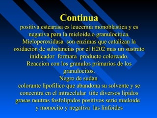 ContinuaContinua
positiva estearasa es leucemia monoblastica y espositiva estearasa es leucemia monoblastica y es
negativa para la mieloide.o granulocitica.negativa para la mieloide.o granulocitica.
Mieloperoxidasa son enzimas que catalizan laMieloperoxidasa son enzimas que catalizan la
oxidacion de substancias por el H202 mas un sustratooxidacion de substancias por el H202 mas un sustrato
inidicador formara producto coloreado.inidicador formara producto coloreado.
Reaccion con los granulos primarios de losReaccion con los granulos primarios de los
granulocitos.granulocitos.
Negro de sudanNegro de sudan
colorante lipofilico que abandona su solvente y secolorante lipofilico que abandona su solvente y se
concentra en el intracelular tiñe diversos lipidosconcentra en el intracelular tiñe diversos lipidos
grasas neutras fosfolipidos positivos serie mieloidegrasas neutras fosfolipidos positivos serie mieloide
y monocito y negativa las linfoidesy monocito y negativa las linfoides
 