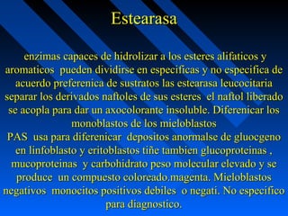 EstearasaEstearasa
enzimas capaces de hidrolizar a los esteres alifaticos yenzimas capaces de hidrolizar a los esteres alifaticos y
aromaticos pueden dividirse en especificas y no especifica dearomaticos pueden dividirse en especificas y no especifica de
acuerdo preferenica de sustratos las estearasa leucocitariaacuerdo preferenica de sustratos las estearasa leucocitaria
separar los derivados naftoles de sus esteres el naftol liberadoseparar los derivados naftoles de sus esteres el naftol liberado
se acopla para dar un axocolorante insoluble. Diferenicar losse acopla para dar un axocolorante insoluble. Diferenicar los
monoblastos de los mieloblastosmonoblastos de los mieloblastos
PAS usa para diferenicar depositos anormalse de gluocgenoPAS usa para diferenicar depositos anormalse de gluocgeno
en linfoblasto y eritoblastos tiñe tambien glucoproteinas ,en linfoblasto y eritoblastos tiñe tambien glucoproteinas ,
mucoproteinas y carbohidrato peso molecular elevado y semucoproteinas y carbohidrato peso molecular elevado y se
produce un compuesto coloreado.magenta. Mieloblastosproduce un compuesto coloreado.magenta. Mieloblastos
negativos monocitos positivos debiles o negati. No especificonegativos monocitos positivos debiles o negati. No especifico
para diagnostico.para diagnostico.
 