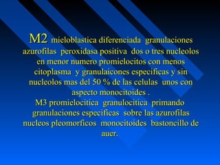 M2M2 mieloblastica diferenciada granulacionesmieloblastica diferenciada granulaciones
azurofilas peroxidasa positiva dos o tres nucleolosazurofilas peroxidasa positiva dos o tres nucleolos
en menor numero promielocitos con menosen menor numero promielocitos con menos
citoplasma y granulaicones especificas y sincitoplasma y granulaicones especificas y sin
nucleolos mas del 50 % de las celulas unos connucleolos mas del 50 % de las celulas unos con
aspecto monocitoides .aspecto monocitoides .
M3 promielocitica granulocitica primandoM3 promielocitica granulocitica primando
granulaciones especificas sobre las azurofilasgranulaciones especificas sobre las azurofilas
nucleos pleomorficos monocitoides bastoncillo denucleos pleomorficos monocitoides bastoncillo de
auer.auer.
 