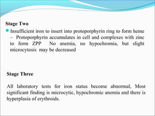 Stage Two
Insufficient iron to insert into protoporphyrin ring to form heme
– Protoporphyrin accumulates in cell and complexes with zinc
to form ZPP No anemia, no hypochromia, but slight
microcytosis may be decreased
Stage Three
All laboratory tests for iron status become abnormal, Most
significant finding is microcytic, hypochromic anemia and there is
hyperplasia of erythroids.
 