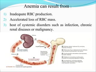 Anemia can result from :
1) Inadequate RBC production.
2) Accelerated loss of RBC mass.
3) host of systemic disorders such as infection, chronic
renal diseases or malignancy.
 