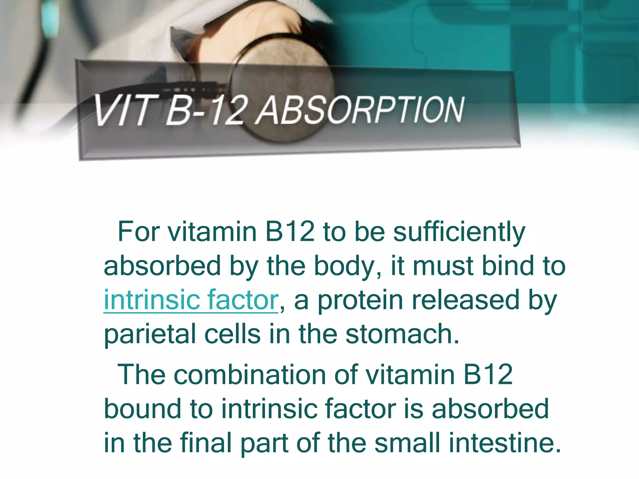 For vitamin B12 to be sufficiently
absorbed by the body, it must bind to
intrinsic factor, a protein released by
parietal cells in the stomach.
The combination of vitamin B12
bound to intrinsic factor is absorbed
in the final part of the small intestine.
 