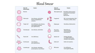 pathology of Anemia | PPTX