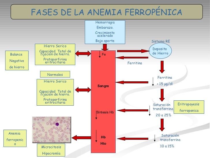 Anemia