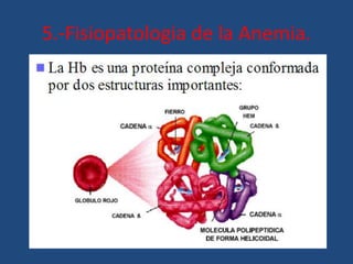5.-Fisiopatologia de la Anemia.
 