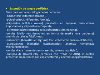 • Extensión de sangre periférica.
Sirve para ver la morfología de los hematíes:
-anisocitosis (diferente tamaño),
-poiquilocitosis (diferentes formas),
-eliptocitos (células ovales) presentes en anemias ferropénicas
importantes y eliptocitosis congénita,
-esfericitos (caracteristicos de la esferocitosis hereditaria),
-células falciformes (hematíes en forma de media luna creciente)
anemia de células falciformes,
-dacriocitos (hematíes en lagrima) frecuentemente en la mielofibrosis,
-esquistocitos (hematíes fragmentados) anemias hemolíticas
microangiopaticas,
-células diana frecuentes en talasemia, saturnismo, Hgb C,
-cuerpos de Howell-Jolly (hematíes con restos de ADN) se suelen
presentar en pacientes con esplenectomía y anemias megaloblásticas.
 